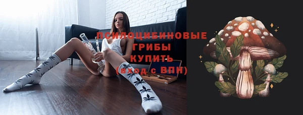 метадон Ельня