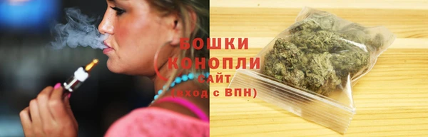 сатива Заволжск