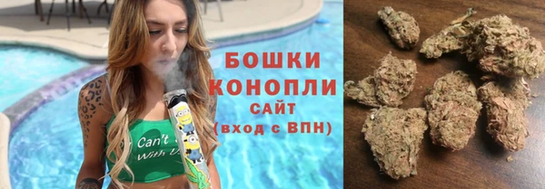 сатива Заволжск