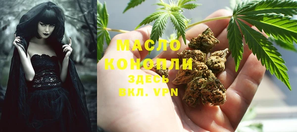 метадон Ельня