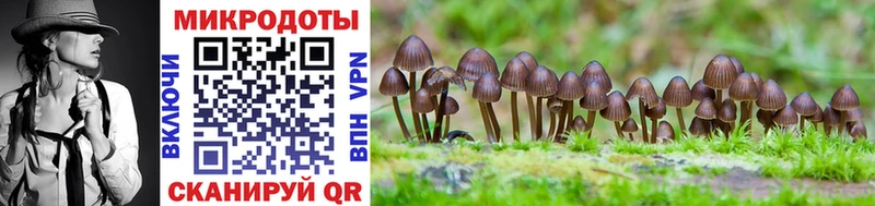 Псилоцибиновые грибы Cubensis  omg вход  Зея 